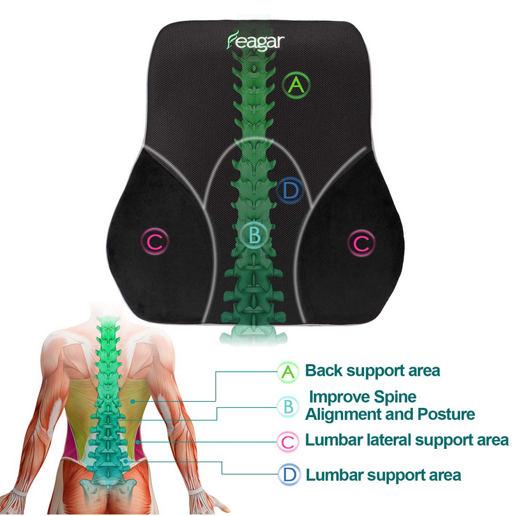 Feagar Rückenkissen, Orthopädisch Lendenkissen, Ergonomische lendenwir –