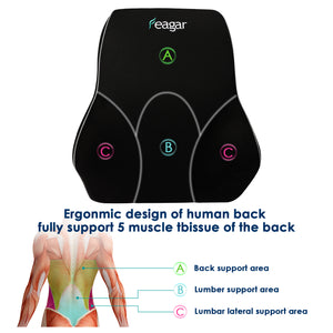 Feagar Lumbar Support Pillow/Back Cushion, Memory Foam Orthopedic Backrest for Car Seat, Office/Computer Chair and Wheelchair,Breathable & Ergonomic Design for Back Pain Relief